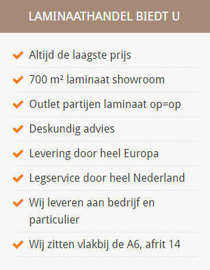 Unieke kenmerken laminaathandel