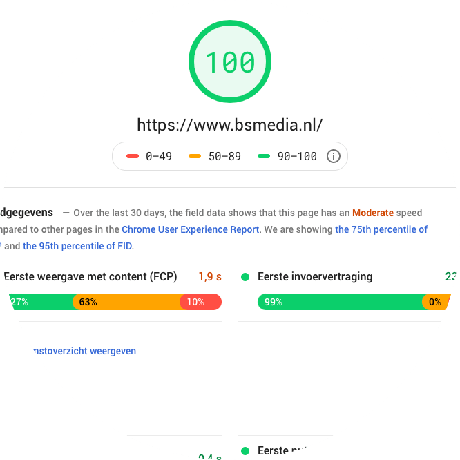 Pagespeed Insights