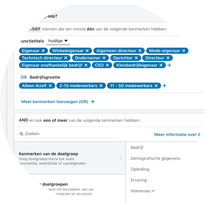 LinkedIn doelgroepen